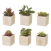 Umelé rastliny v súprave 6 ks (výška  9,5 cm) Cactus – Casa Selección