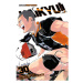 Viz Media Haikyu!! 30