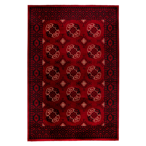 Kusový koberec My Ariana 881 red - 120x170 cm Obsession koberce