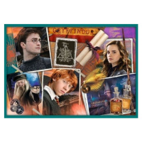 Trefl Puzzle 10v1 -  Vo svete Harryho Pottera