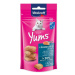 Pochúťka Vitakraft Cat Yums losos 40g