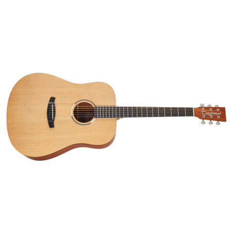 Tanglewood TR 5