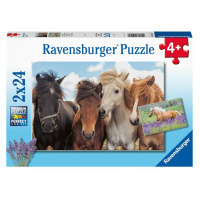 Ravensburger Fotky koní 2x24 dielikov