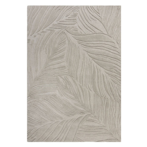 Sivý vlnený koberec Flair Rugs Lino Leaf, 160 x 230 cm