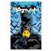 DC Comics Batman/The Flash The Button Deluxe Edition (International Version)