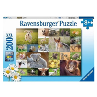 Ravensburger Koláž zvieracích mláďat 200 dielikov