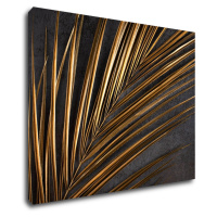 Impresi Obraz Zlatý detail palma - 90 x 70 cm