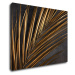Impresi Obraz Zlatý detail palma - 90 x 70 cm