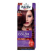 Palette Intensive Color Creme farba na vlasy RFE3 4-88