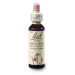 ORIGINAL BACH® Impatiens 20 ml