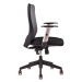 Ergonomická kancelárska stolička OfficePro Calypso Farba: červená