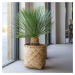 Kvetináč Zayn, farba prírodný bambus, viac veľkostí - PotteryPots Velikost: XXL - v. 90 cm, ⌀ 90