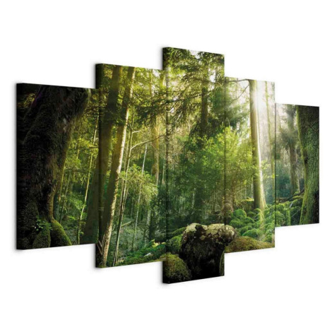 artgeist OBRAZ NA PLÁTNE, krajina a príroda, stromy, 200/100/1.2 cm