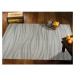 Sivo-béžový koberec 200x290 cm Jaipur – Webtappeti
