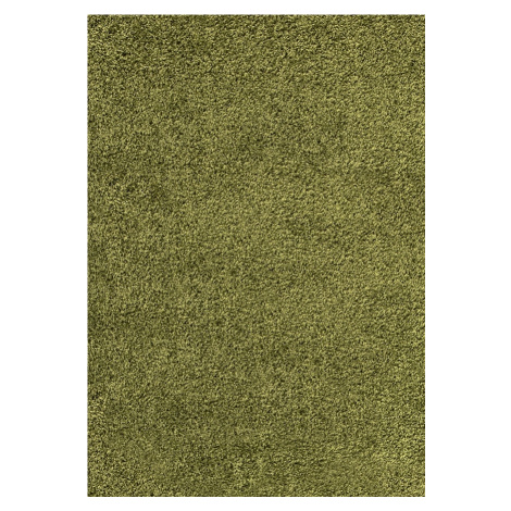 Kusový koberec Dream Shaggy 4000 green Rozmery koberca: 160x230 Ayyildiz