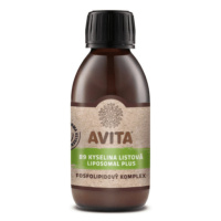 AVITA B9 Kyselina listová liposomal plus 200 ml