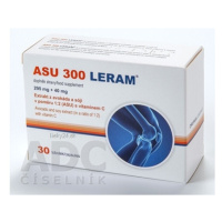 ASU 300 LERAM