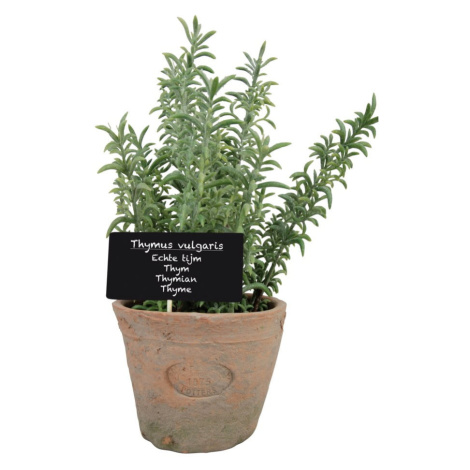 Umelá rastlina (výška 21,5 cm) Thyme – Esschert Design