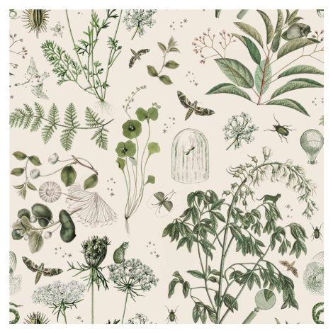 Tapeta z netkanej textílie 100 cm x 280 cm Green Botanical Stories – Dekornik