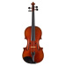 Eastman Albert Nebel Series+ Violin 4/4 (VL601G+)