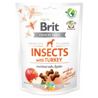 Pochúťka Brit Care Dog Crunchy Cracker Insocts, morka s jablkami 200g