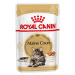 Royal Canin FBN WET MAINECOON kapsičky pre mainske mývalie mačky 12 x 85g