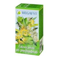 MEGAFYT Čajová zmes pri prechladnutí