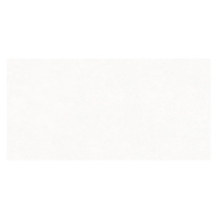 Dlažba Rako Compila 60x120 cm mat DAKV9864.1