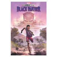 Marvel Black Panther Legends