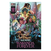 Plagát Black Panther: Wakanda Forever (202)