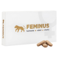 FEMINUS  60 tabliet