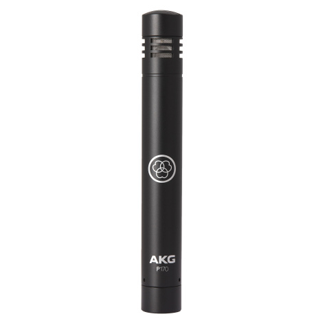 AKG P170