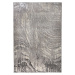 Kusový koberec Eris Arissa Silver - 200x290 cm Flair Rugs koberce