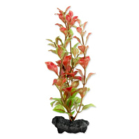 Dekorácia Tetra Rastlina Red Ludwigia S 15cm