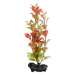 Dekorácia Tetra Rastlina Red Ludwigia S 15cm