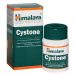 HIMALAYA HERBALS Cystone 100 tabliet