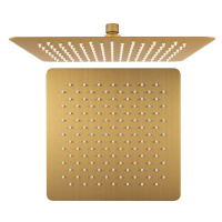 SAPHO - SLIM hlavová sprcha, 300x300m, zlato mat SL101GB