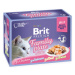 BRIT Premium Delicates Fillets in Jelly Family Plate kapsičky v želé pre mačky 12x 85 g