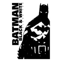 DC Comics Batman: Black & White 2