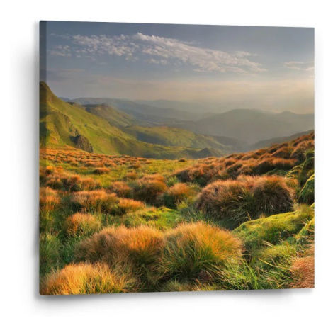 Obraz Trávnatá krajina - 50x50 cm