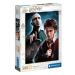 Puzzle 500, Harry Potter