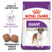 RC GIANT ADULT - 15kg