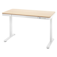 Sconto Písací stôl GREG dub/biela