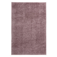 Kusový koberec Emilia 250 powder purple Rozmery koberca: 80x150