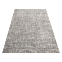 DY Sivý moderný koberec Sily Rozmer: 120x170 cm