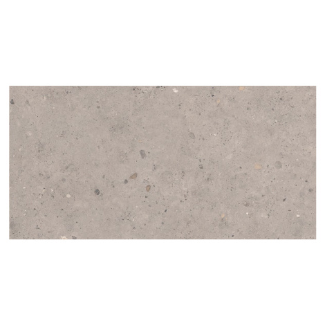 Dlažba Pastorelli Biophilic grey 60x120 cm mat P009415