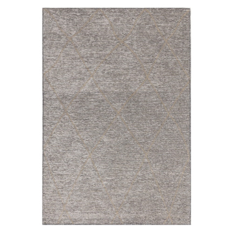 Sivý koberec s prímesou juty 160x230 cm Mulberrry – Asiatic Carpets