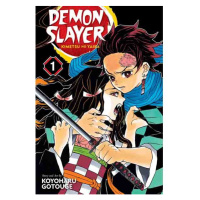 Viz Media Demon Slayer: Kimetsu no Yaiba 1