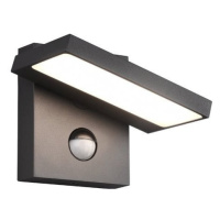 LED vonkajšie svietidlo so senzorom pohybu (výška 12 cm) Horton – Trio