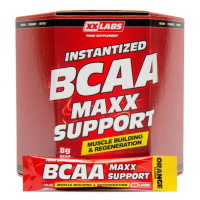 GOLD MAXX BCAA Maxx Support príchuť pomaranč 620 g